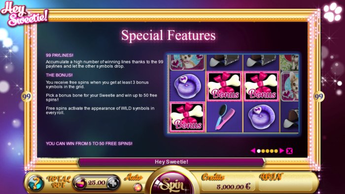 Special Features by All Online Pokies
