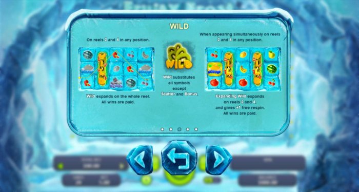 Wild expands on reels 2 and 4. by All Online Pokies
