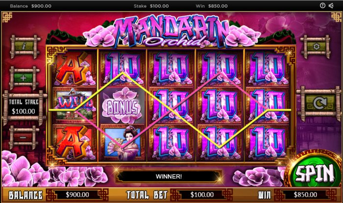A pair of winning paylines by All Online Pokies