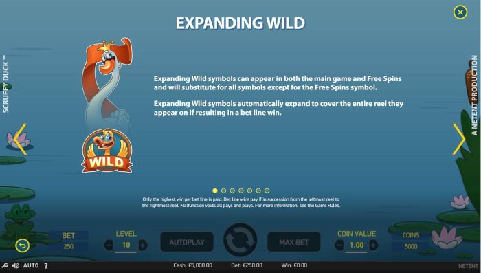 Expanding wild symbols can appear in both the main game and free spins and will substitute for all symbols except for the Free Spins symbol. - All Online Pokies