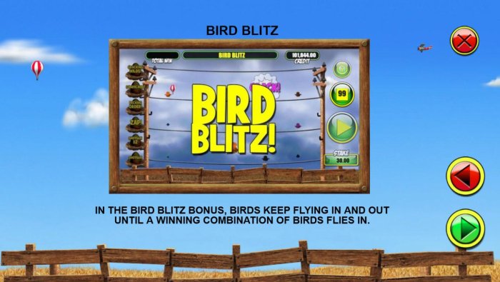 Bird Blitz Rules by All Online Pokies
