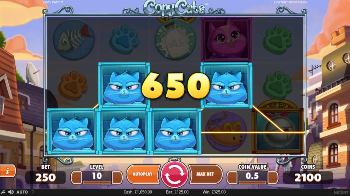 Copy Cats by All Online Pokies