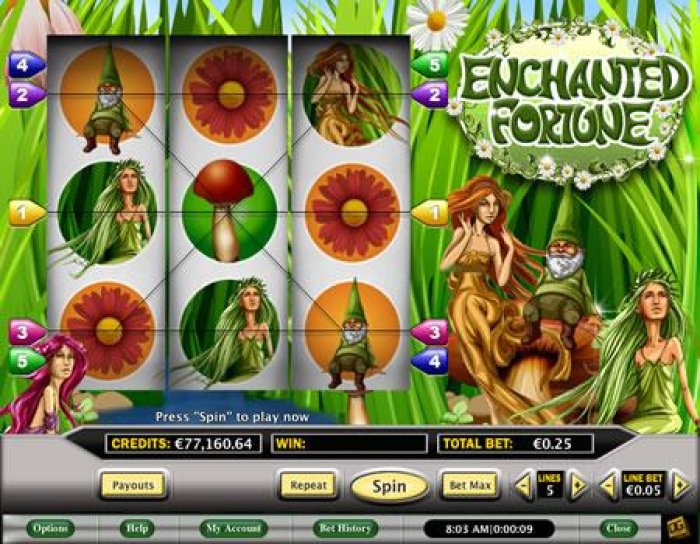 Enchanted Fortune screenshot
