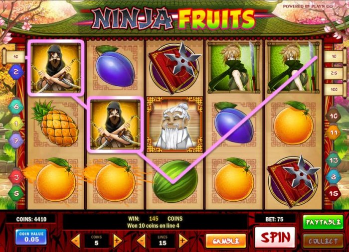 Ninja Fruits screenshot