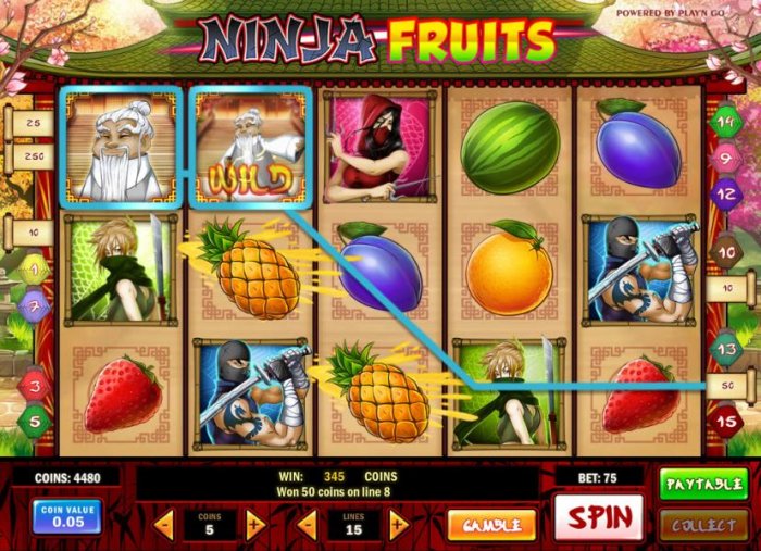 Ninja Fruits by All Online Pokies