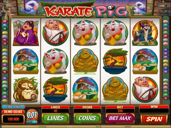 Images of Karate Pig