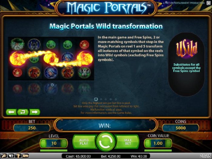 wild tranformation feature rules - All Online Pokies