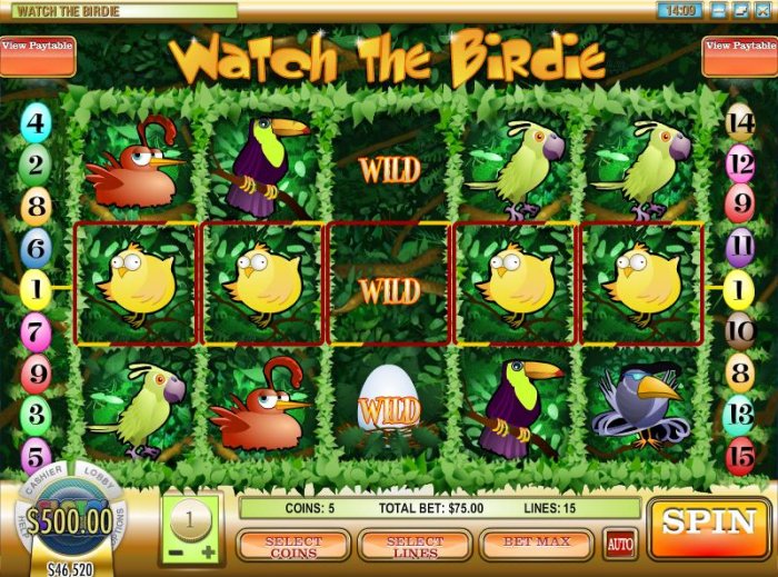 Images of Watch the Birdie