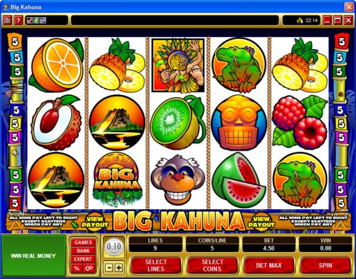 Big Kahuna by All Online Pokies
