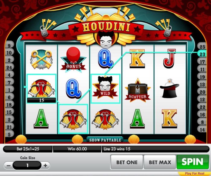 All Online Pokies - A Pair of winning paylines triggers a 60.00 payout.