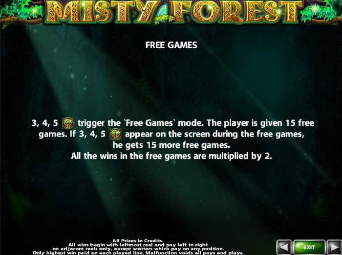 Images of Misty Forest